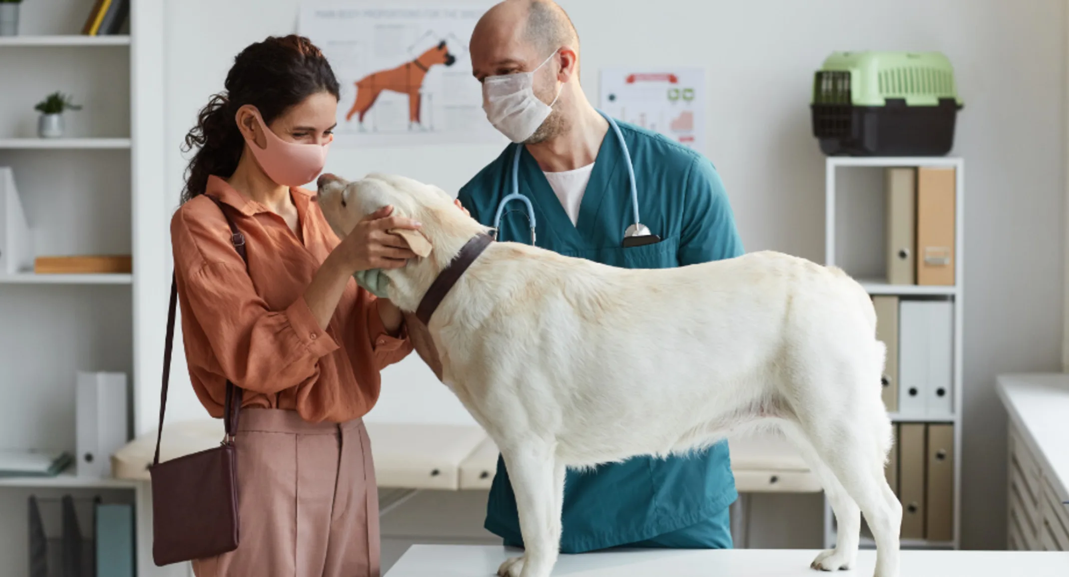 Veterinarian & Client Wearing Masks with White Dog